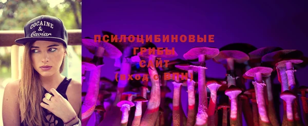 твердый Михайловск