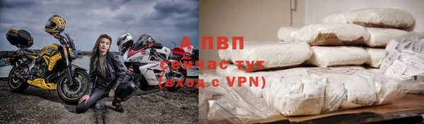 PSILOCYBIN Осинники
