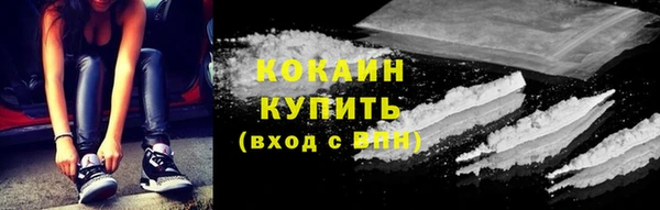 твердый Михайловск