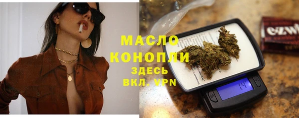 гашик Мегион