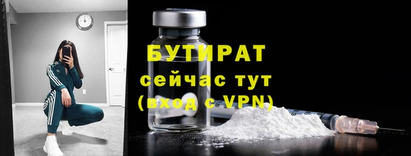 ПСИЛОЦИБИНОВЫЕ ГРИБЫ Михайлов