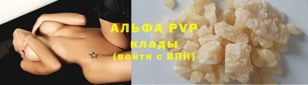 индика Медвежьегорск