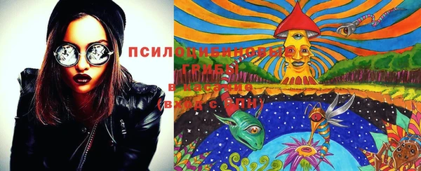 PSILOCYBIN Михайловка