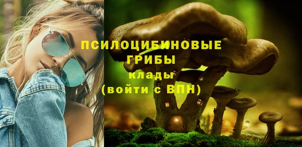 ПСИЛОЦИБИНОВЫЕ ГРИБЫ Михайлов