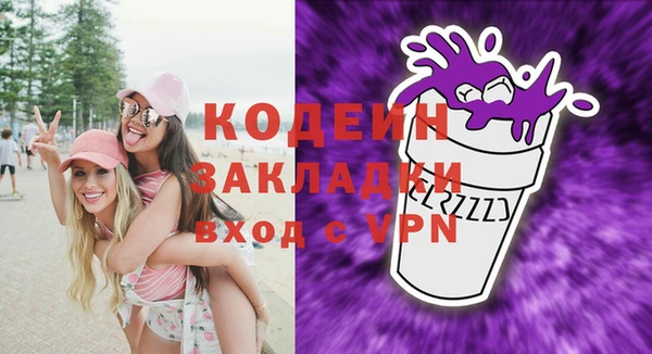 ПСИЛОЦИБИНОВЫЕ ГРИБЫ Михайлов