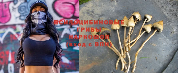 ПСИЛОЦИБИНОВЫЕ ГРИБЫ Михайлов