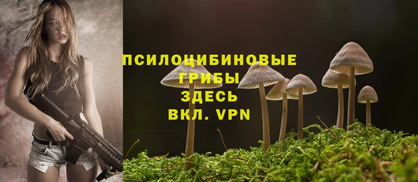 PSILOCYBIN Михайловка