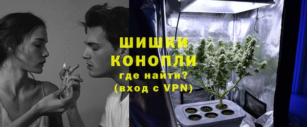 твердый Михайловск