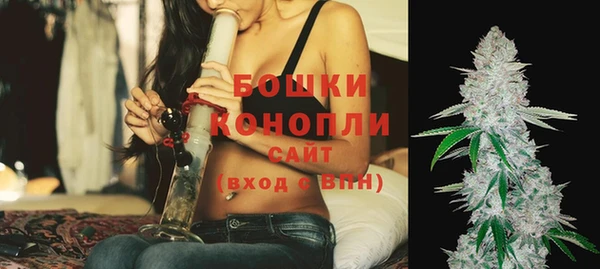 PSILOCYBIN Михайловка